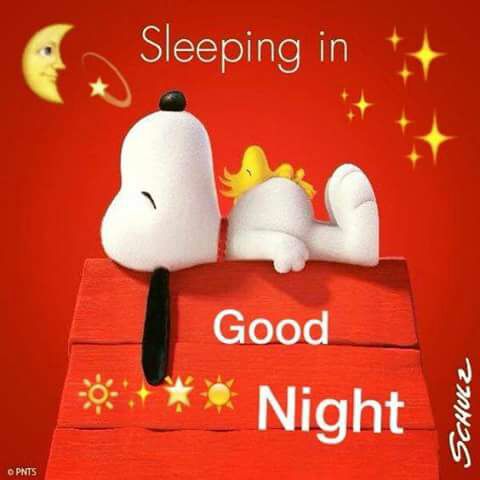 Vivalyk's tweet photo. @nydiacervera @la_woodra @lizalde_gina @mtz_tt @DaliaMRocha @EEYYYAA @EstherEurbin @iztalccihuatl @rumabo1 @JohannaLizalde @lapetitececi @Negra_start @kabena76 @yaz_animalista @mariluzza @nora_nap @LETICIA777 @zaradrj @Froggieland @duky1107 @lasaguis @raquelgarzac @OfeliaTrev @tuyyocon10 @MarianimaLOVERS @pikis_deolarte @HuesitosDF @Hera_Sea @Waldemar_Brito @gretakolarik @SupportPets @PipianMx @SrInsoportable Más vale tarde que nunca!!! #niite ♥🙏🏻💫🐶🐾☕🍩😴😘 https://t.co/jNAb6gaBqS