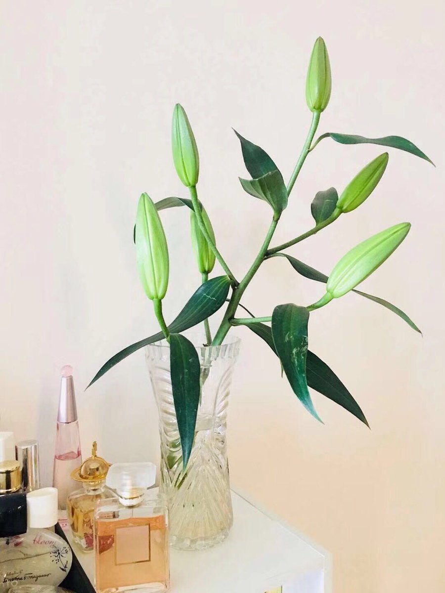 I am a hardworking gardener goddess~😍