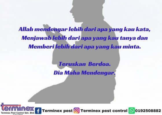 terminexpest's tweet photo. ASSALAMUALIKUM, SALAM JUMAAT SEMUA.

pada hari jumaat yang mulia ini,banyakkanlah berdoa dan berzikir kepada ALLAH.

#PAGI #MORNING #SALAMJUMAAT #KAWALANSERANGGA #PESTCONTROL https://t.co/n0DG623X7h