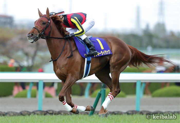 競馬ラボ On Twitter 桜花賞で2着だったラッキーライラックは10月7日 日 に行われる凱旋門賞 G へ登録を行うことに オークスの結果や状態次第としつつ とされているが 実現した場合 日本の3歳牝馬の凱旋門賞挑戦は2014年のハープスター以来となる Https T Co