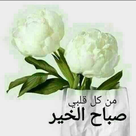 ريم (@4y_ti) on Twitter photo 