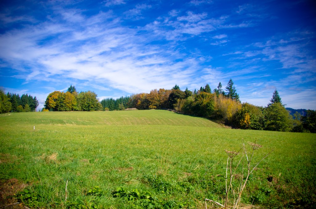 In the Spring, …" - @ForestServiceNW, Forest Service NW's ... - 1024 x 678 jpeg 147kB