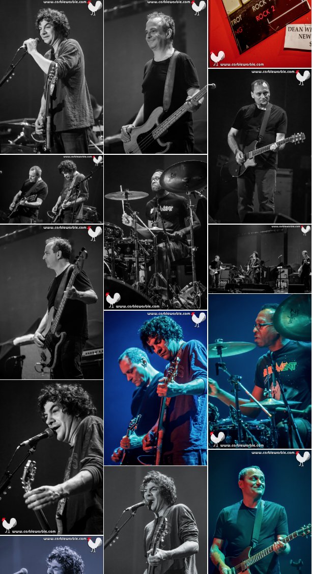 CarbieWarbie's tweet photo. I was excited to see @primus and @deanween Group at the @PalaisTheatre. Here are some purdy piccies on @GigBill with a gig review by yours truly. 🤘🎸🎶❤️⚡️🐓 #Primus #DeanWeenGroup #Ween #PalaisTheatre
https://t.co/yiT129F9oK https://t.co/f0aBXDBd9J