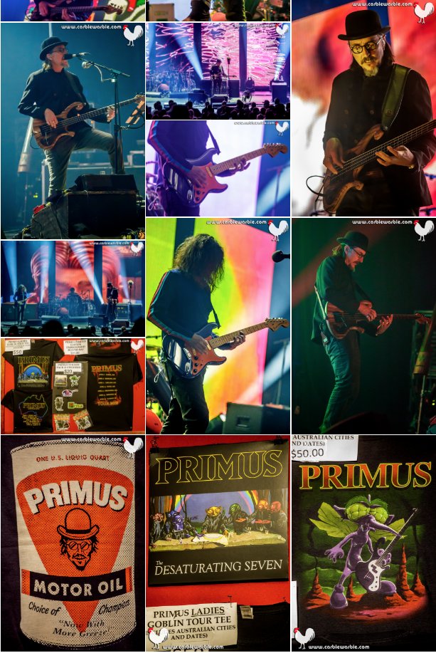 CarbieWarbie's tweet photo. I was excited to see @primus and @deanween Group at the @PalaisTheatre. Here are some purdy piccies on @GigBill with a gig review by yours truly. 🤘🎸🎶❤️⚡️🐓 #Primus #DeanWeenGroup #Ween #PalaisTheatre
https://t.co/yiT129F9oK https://t.co/f0aBXDBd9J