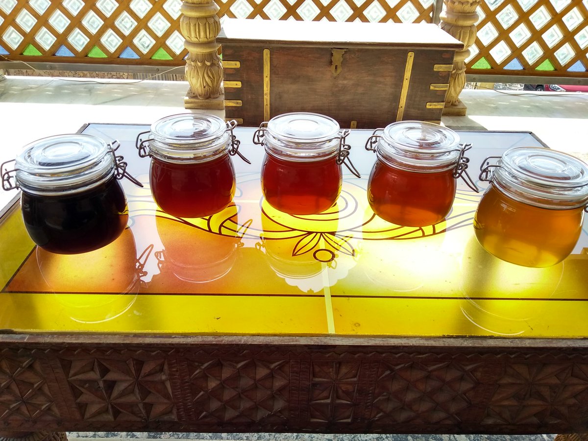 yash_apiary's tweet photo. #specialized #A #Grade #honey .. with #different #natural #organic #flavours in #cute #little #sweet #honeyjars ..
#yashhoneyandapiaryproducts 
#sweatrevolution 
#Yashhoney 
#startupindia 
#startup https://t.co/0Qu05xUVLu