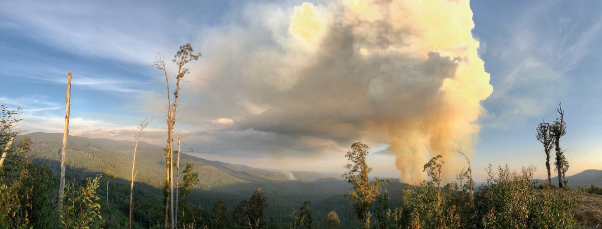 sarahrees's tweet photo. Welcome to Mordor, I mean Noojee #springst #savenoojee https://t.co/dyh7a6TgpJ