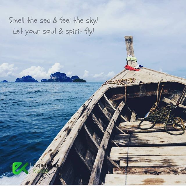 xperiencekerala's tweet photo. Let your soul & spirit fly beyond the horizon. #incredibleindia #worldtraveler #wanderlust #traveling #travellife #Travel #tourist #season #sea #salty #saline #boat #kerala #keralatourism #godsowncountry ##instahappiness #instaspirit #instalove #instahome… https://t.co/T90dfN47XE