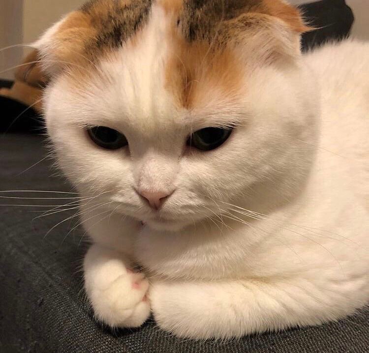 iluvunb's tweet photo. perhaps i will move accounts tonight https://t.co/T7eYDx2iTH