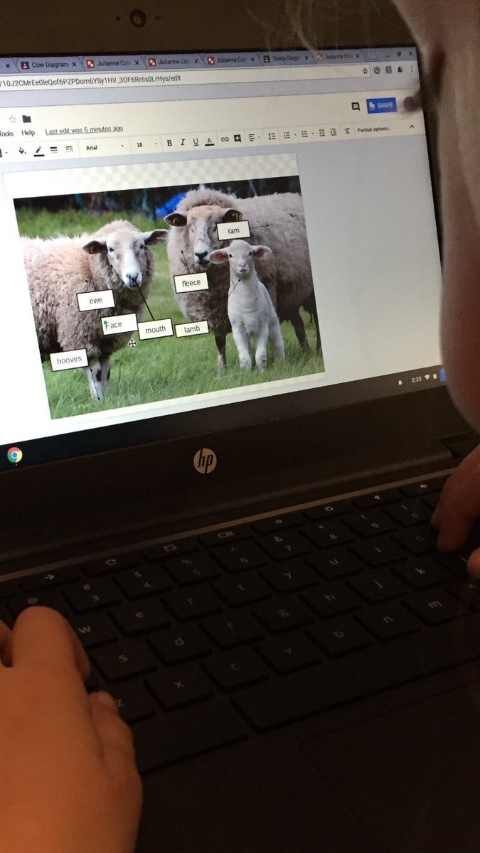 TeachMrsGibbs's tweet photo. First Graders using Google Draw to show what they have learned with farm animals. @rcsdblueoaks #RCSDChampions https://t.co/cen8xYNlpo