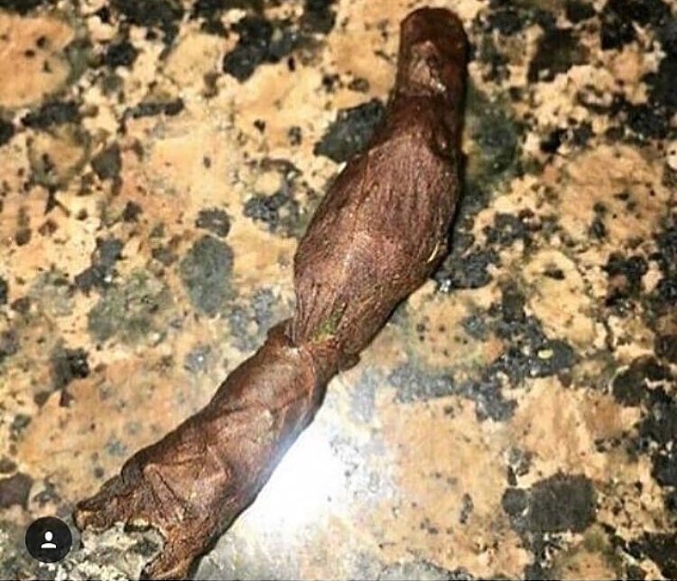 mvpbjayy's tweet photo. Niggas Be Like: Let me Pearl that mf 💯 
 Results: .. https://t.co/JkwLZ8CWFj