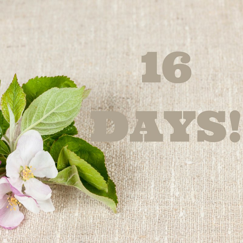 ItsFearlessMimi's tweet photo. Just before you head to bed, there are 16 days left!! ๐ฑ๐ฑ Head here https://t.co/zXRSWv2fQ4 to purchase your tickets! #MarriageTheRealDeal #iWaitedBlog #Marriage #Relationships #miami #miamievents #BrowardEvents #singlesempowerment #faith #MiamiBlogger #BrowardBlogger https://t.co/oVTzOHqWA5