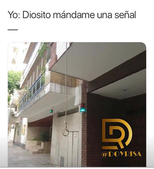DasRisa_'s tweet photo. Todos a seguir a mi página alterna @doyrisa @doyrisa @doyrisa @doyrisa @doyrisa @doyrisa síguela es de mi hermana 😍 https://t.co/ideWRmBvsp