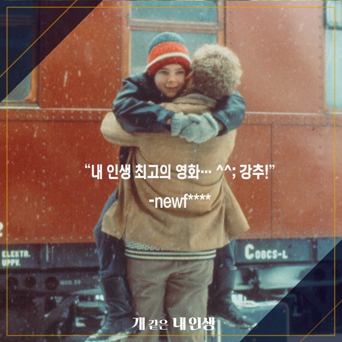 "내 인생 최고의 영화...^^; 강추!" <개 같은 내 인생>을 향한 극찬 리뷰! ✔️예매 이벤트 https://goo.gl/kBxkwE ✔️단 한 번 만날수 있는 스페셜 GV https://goo...