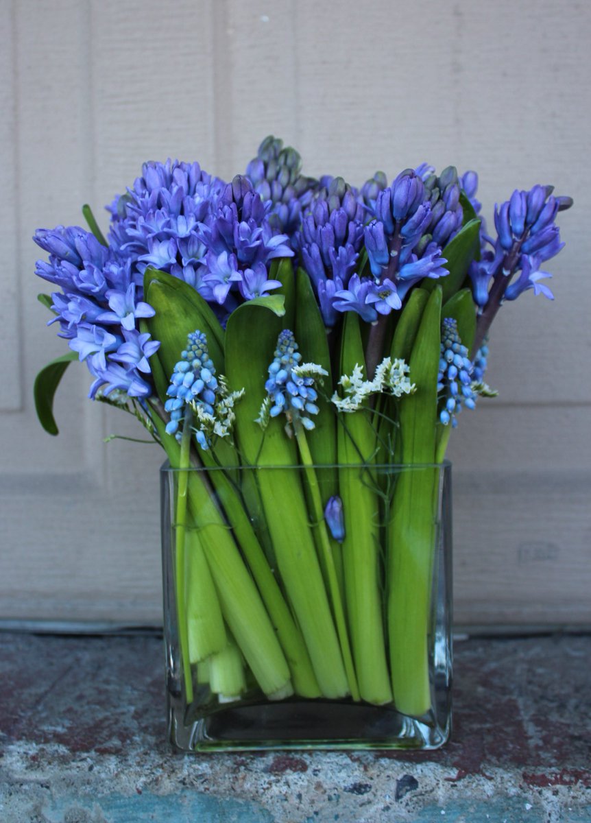 ACozyHome's tweet photo. Think SPRING! 🌿☔️ #flowersofinstagram https://t.co/l0hllcSwxP