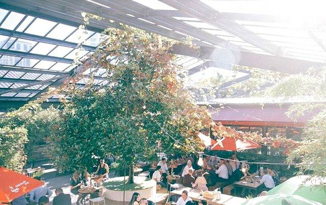 After work drinks and nibbles at the  <a href="/thegardens_/">The Garden's</a> at McKenzie's anyone? Wishing everyone a great weekend ahead! #ilovetakapuna