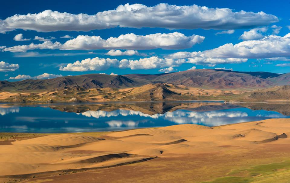 Solid_ways's tweet photo. The #omul is a kind of fish. It belongs to the same family as the salmon and the trout. It only lives in Khar lake of #Mongolia, #Baikal Lake, and the rivers around it. Photo by Bayar Balgantseren https://t.co/5y2XiapYZm
