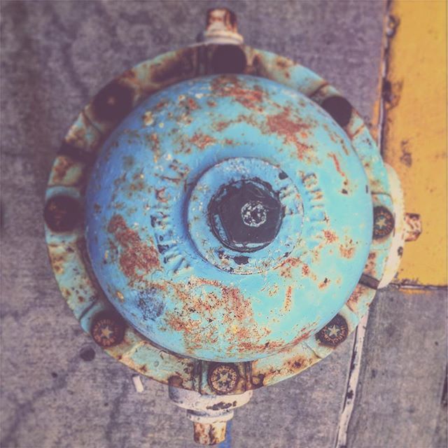 Flower City Printmakers tweet media