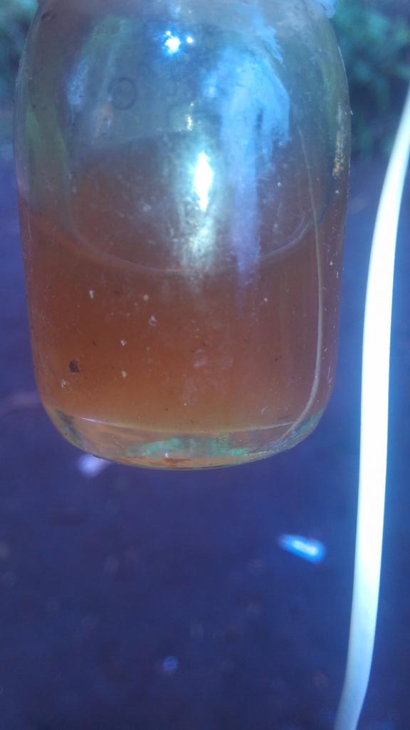 Freeman806's tweet image. There are oils that makes you go mad ...like this