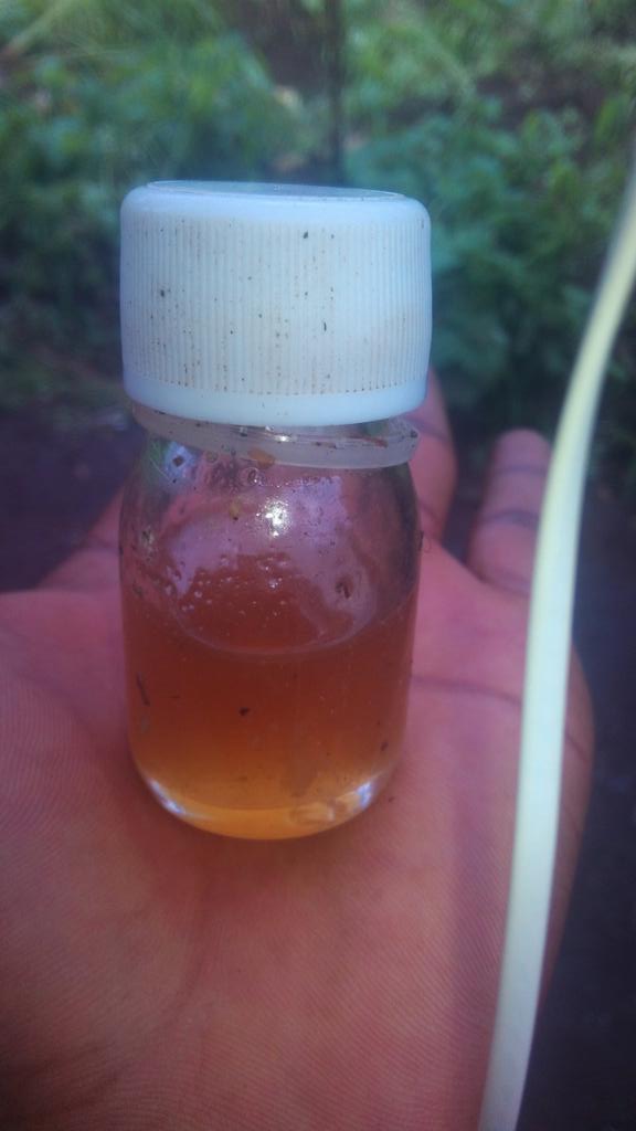 Freeman806's tweet image. There are oils that makes you go mad ...like this