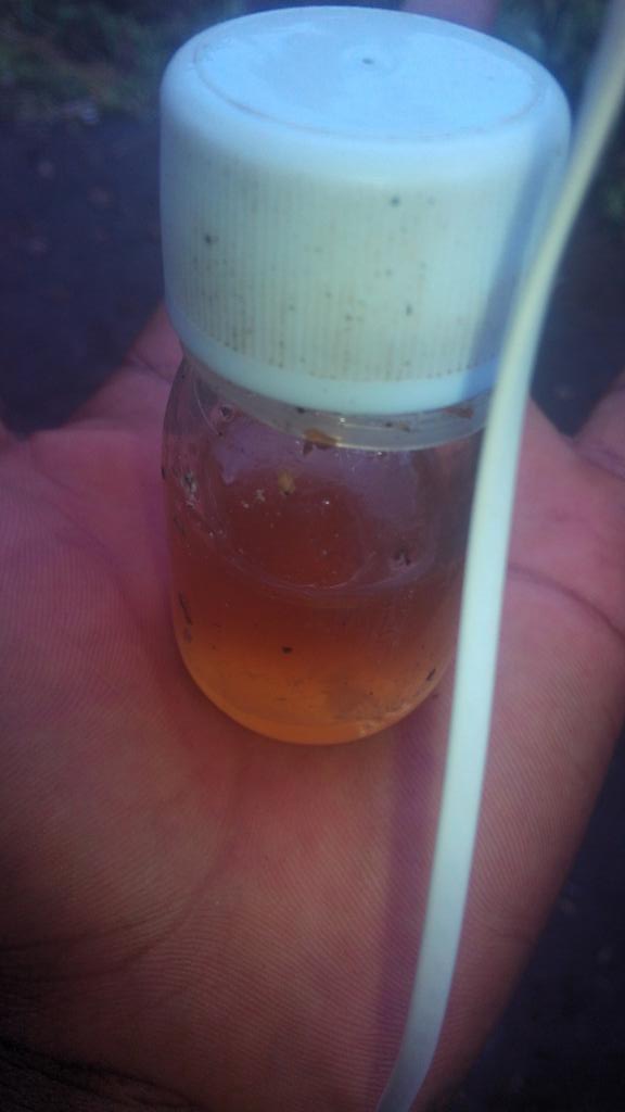 Freeman806's tweet image. There are oils that makes you go mad ...like this