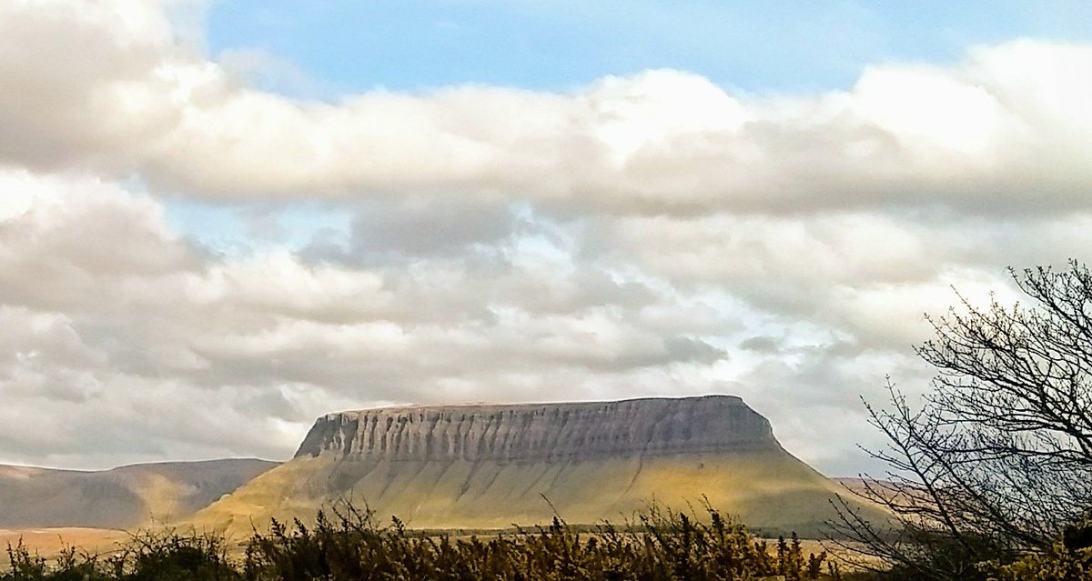 Cllr Marie Casserly tweet media