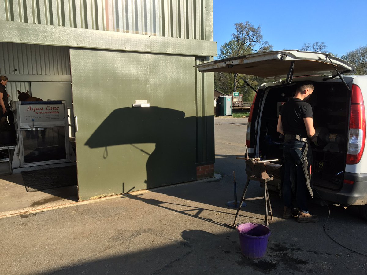 ERTherapyCentre's tweet photo. #SunnyShoeing #FridayFarrier #CopperNails 
Thanks to Chris Selleck Farrier for coming at 7am to shoe, always very interesting hearing about your remedial work! Princess Persha is loving her new copper nails (antibacterial properties though she thinks it's a fashion statement) https://t.co/ija0rMyrkX