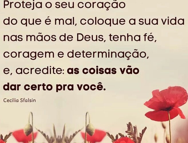 CMhartins's tweet photo. https://t.co/WTjbqHlcze