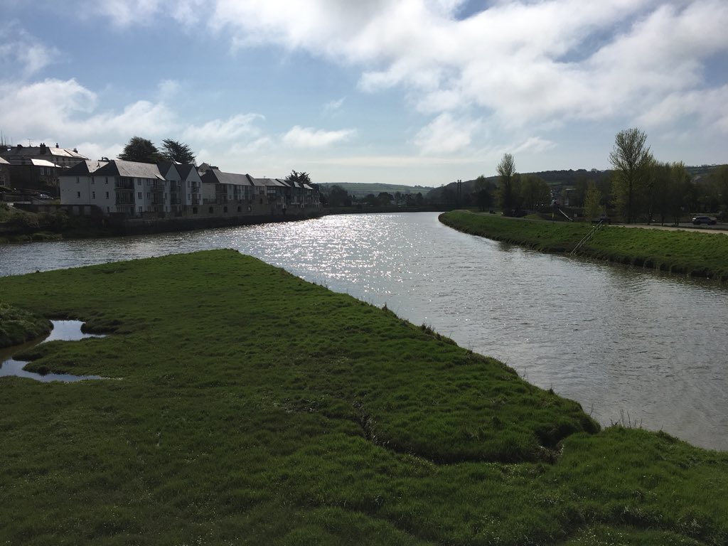mariajaynebuckl's tweet image. Love this #estuary  so much wildlife &amp;amp; we get to watch this all unfold @rspb #swan #greatforkids #wildlife at its best