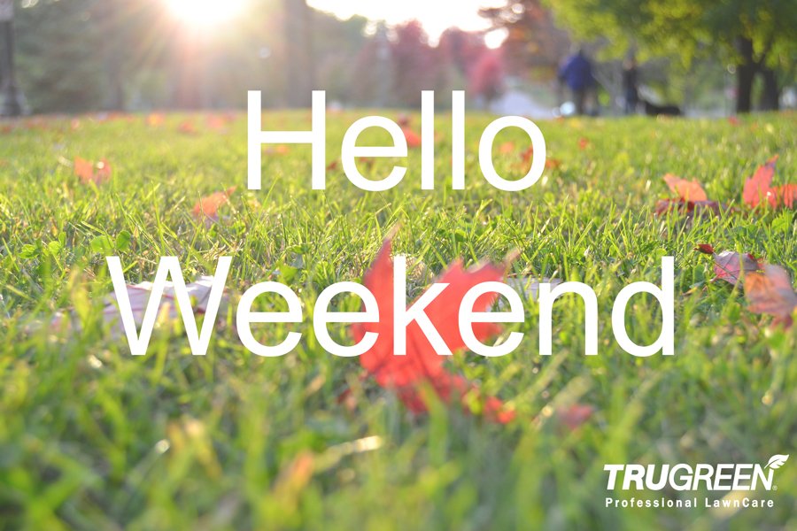 TruGreen South Beds (@TG_SouthBeds) / Posts / X