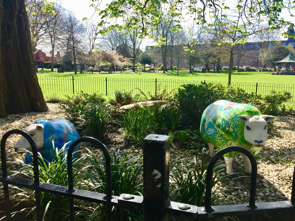 wxmsayshello's tweet image. The #Wrexham sunshine has really given us that #FridayFeeling!