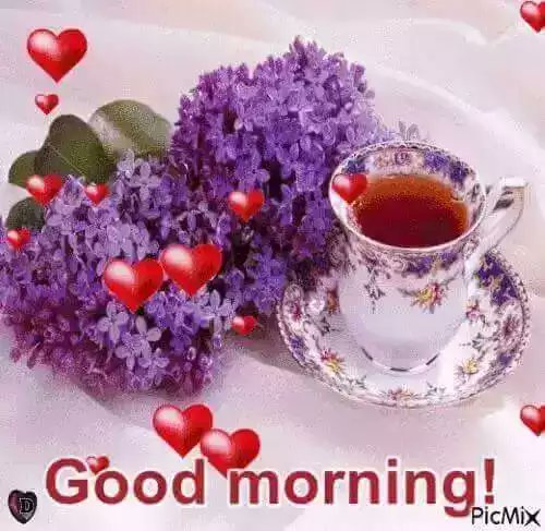 loleta420's tweet photo. @Mami_Karaoke @copasajaa  https://t.co/CigWFXqXbR