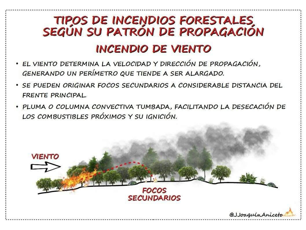 Incendios Forestales Y Su Relación Con La Meteorología Blog Meteoclim 8121