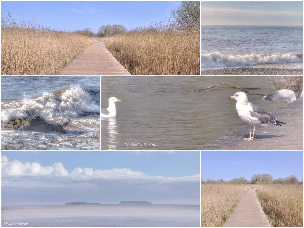 HortopHortop's tweet image. Happy Friday from #Wales ...wishing you all a fabulous day folks! 💙🌊