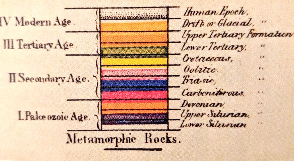 defilippovale's tweet photo. 2 of 100 #infographics way before they were so popular: Louis Agassiz (1807-1873) a biologist resistant to Darwin's theories, here is his Earth as Related to Zoology. #infographicinspiration #pastdocet #INFOGRAPHICS #100daysofinfographics https://t.co/spiBytiBY3