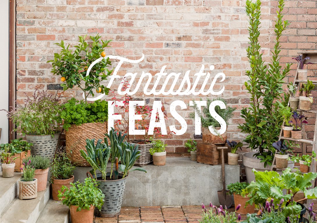 Growing food at home is rewarding, healthy and very tasty. Now is the time to plant for the harvest ahead.