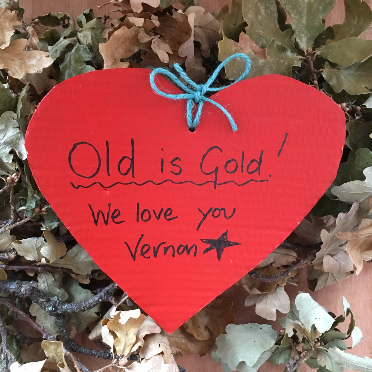 sj_unwin's tweet photo. 💚Day 66💚of Vernon’s 💚#showthelove💚#ValentinesDay celebration💚 messages “Old is Gold 
we love you Vernon” #StandWithVernon @SAVEDORETREES #SaveSheffTrees #TheWorldIsWatching #StandUpForTrees #NoMoreFelling https://t.co/S6YMqJwq7x