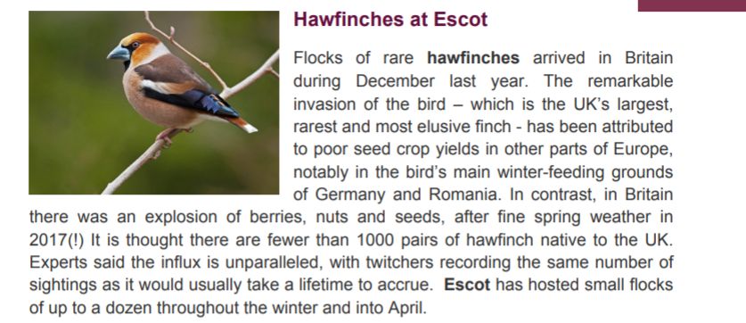 Talevalleytrust's tweet photo. Rare birds like #Hawfinches and #Mandarins are no stranger to the #RiverTale which flows through @EscotHouse.
Why not take a stroll and try and spot some of these beautiful birds yourselves this weekend?
#saveourplanet #cleanwater https://t.co/FJQybTMz3r