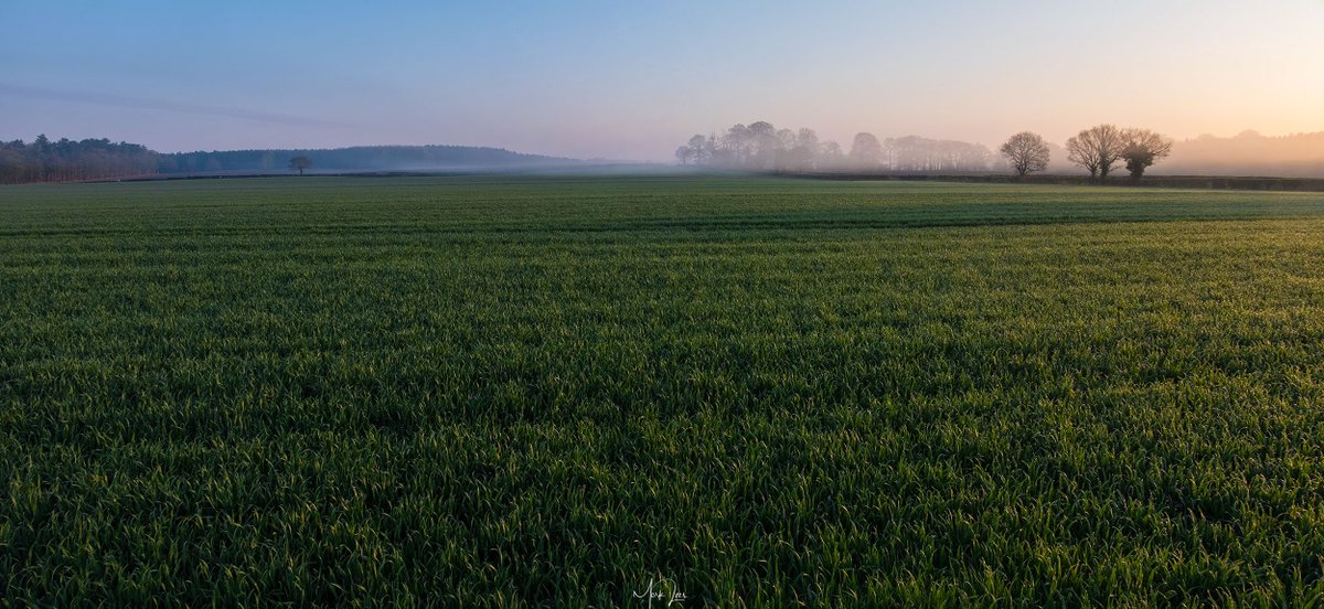 markleesdigital's tweet image. Happy Friday everyone!
Doesn't #Nottinghamshire look beautiful this morning?

Our photographer @markleesphoto was out very early capturing the morning mist and here's one he brought back from #Budby near @ThoresbyPark