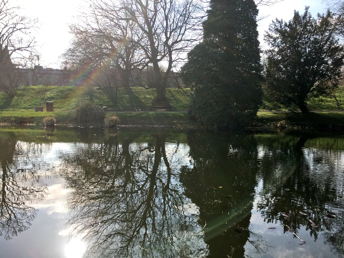 MadchensArmy's tweet photo. Nature is very pretty today https://t.co/K1p2c77Pcn