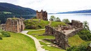 mujib_fito's tweet photo. Nature of scotland https://t.co/5BnUPanjoK