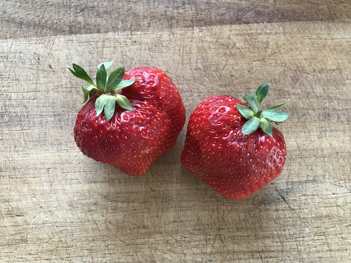 Coco美漢方 田中 友也 ツボ押し養生 発売しました 花粉症を発症している方はその花粉 と似たような構造のタンパク質を持った果物を食べると 交差反応 と呼ばれるアレルギー反応が出やすくなります 特に シラカバ花粉症 の方はバラ科のフルーツ