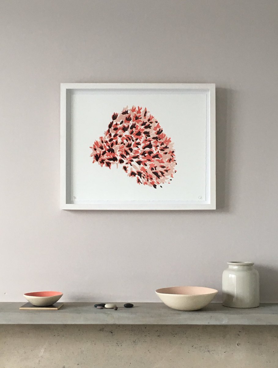 chalkspace's tweet photo. Sedum, Garden Extract, 2018. New work showing as part of Artists Open Houses @artistshouses in May #beyondthelevel #prints #drawing #paintings Visit https://t.co/AMrT5smP8y for info https://t.co/7C4Ziw9Eii