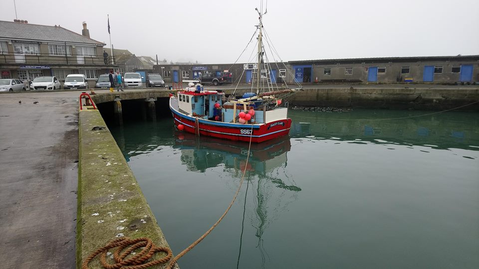 Friday 20 April 2018 - in this morning we have: Hake, Brill, Haddock, Pollack,  Megrim and Dover Sole.  
Making her debut on our page this morning is the local inshore netter "Tracey Clare."