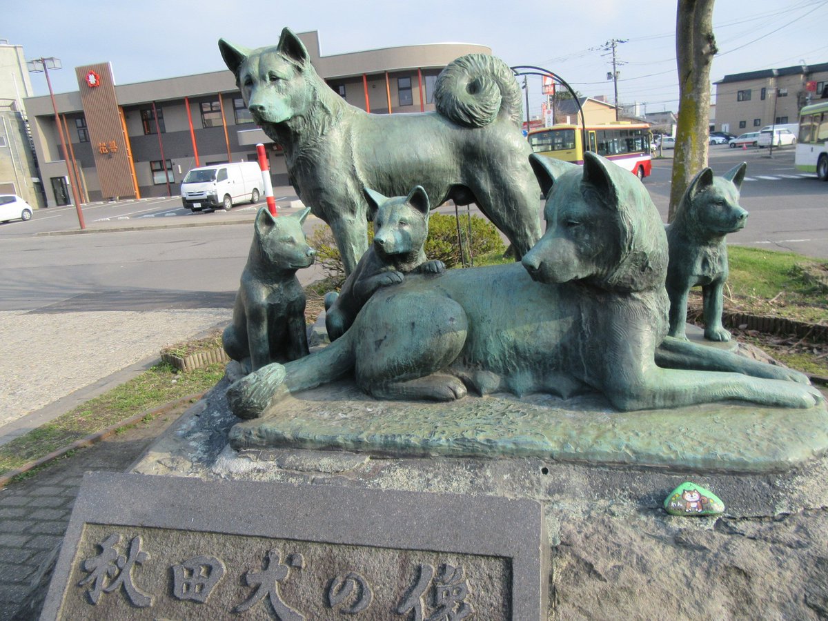 vivio2429's tweet image. WA ROCKを隠しました。
#warocks　#WAROCK