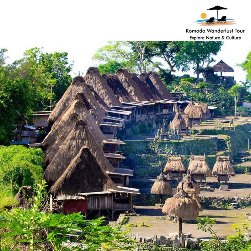 komodowanderlus's tweet photo. FLORES OVERLAND TOUR! Flores Tour!
Tour Duration: 6D/5N

Please Free Contact Me at +62 821-4773-5054 and +62 81 338 423 378 

or visit: https://t.co/4tONkUdAhC

#TriptoKomodo #KomodoTour #KomodoAdventure #KomodoTrekking #FloresTour https://t.co/EIsR3CvWZG