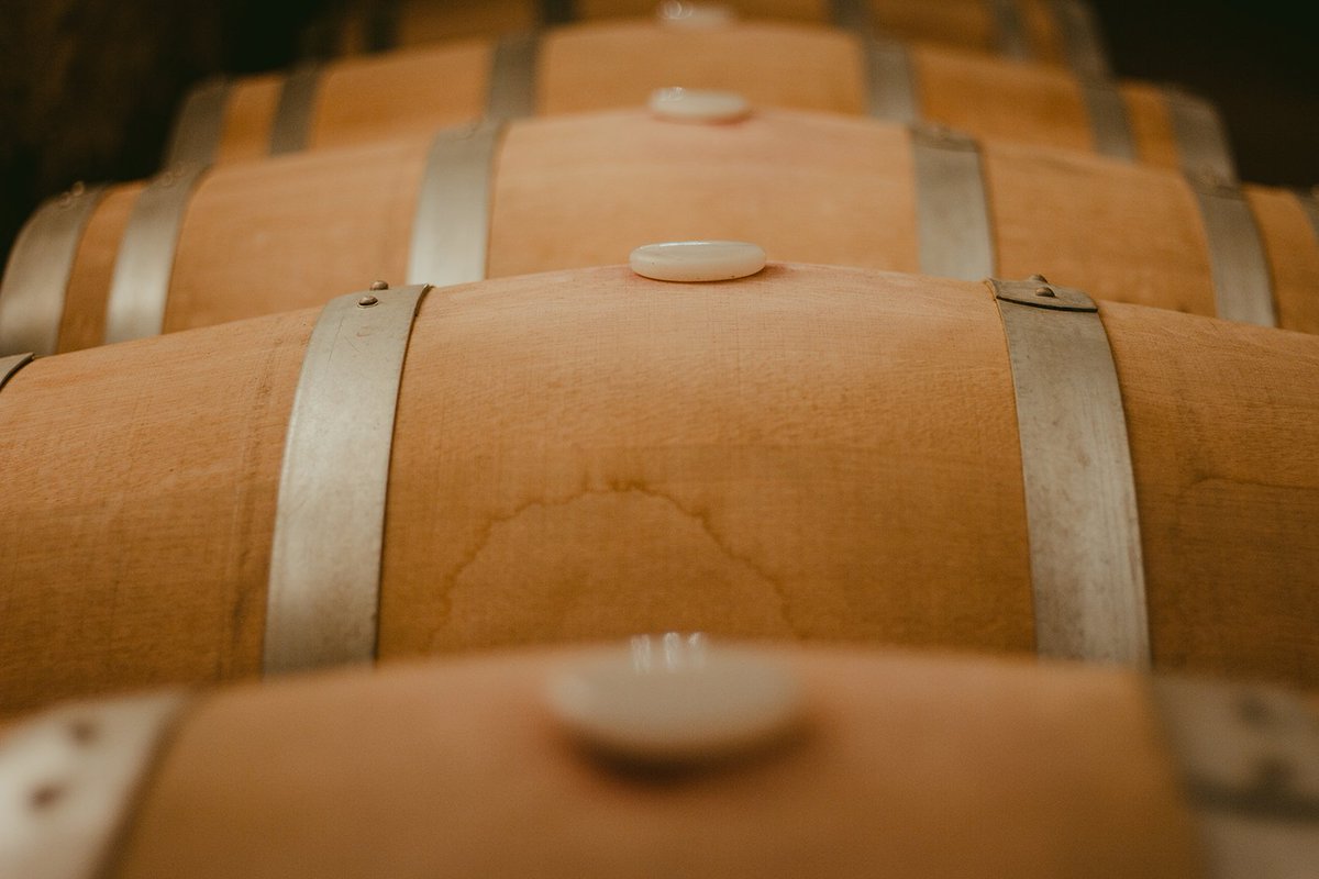 Matarromera's tweet photo. ¿Te interesa el mundo del vino? Infórmate sobre el Máster Internacional Matarromera en Gestión de Empresas Vitivinícolas. https://t.co/ncJu3kYufB @CampusVino @InnovaCuenta https://t.co/SkA47Znpaf