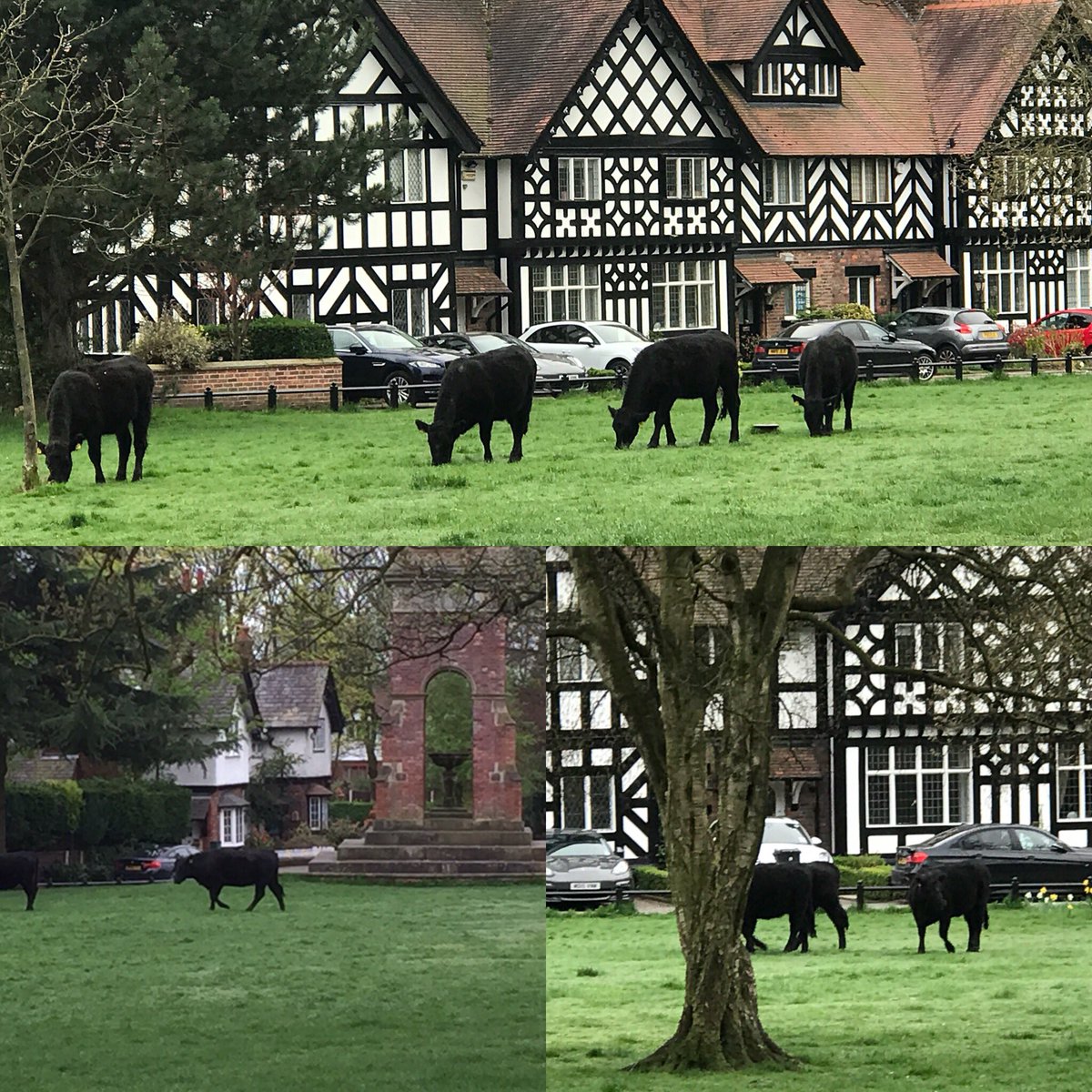 #worsley #salford