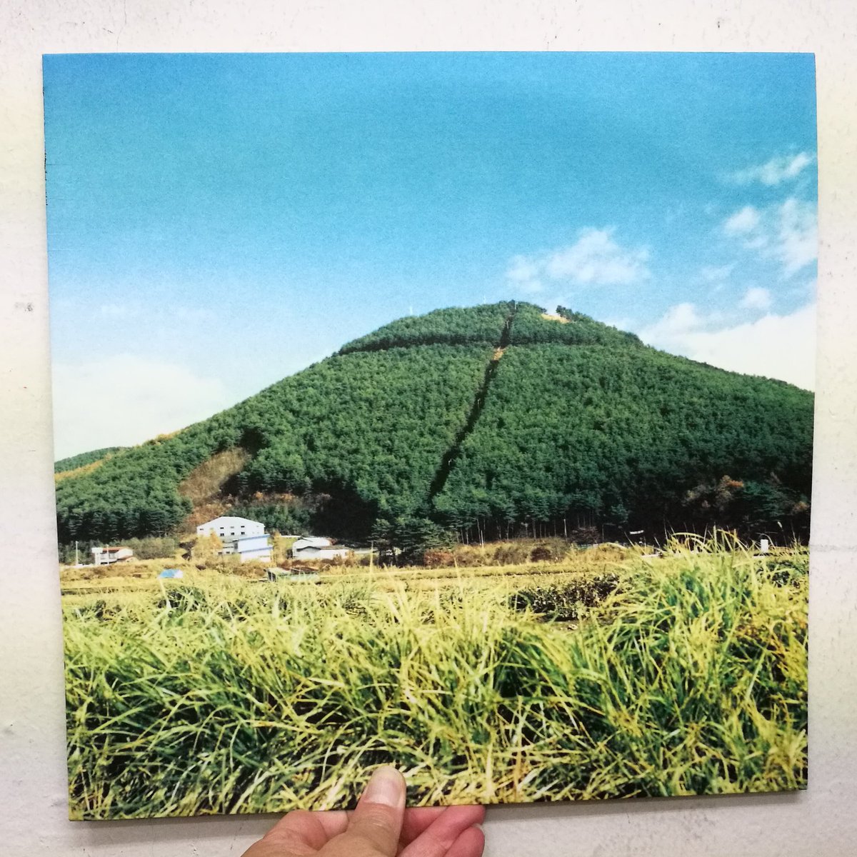 本店2F山ジャケ新入荷】'98年、CDに先行するかたちで発売された奥田