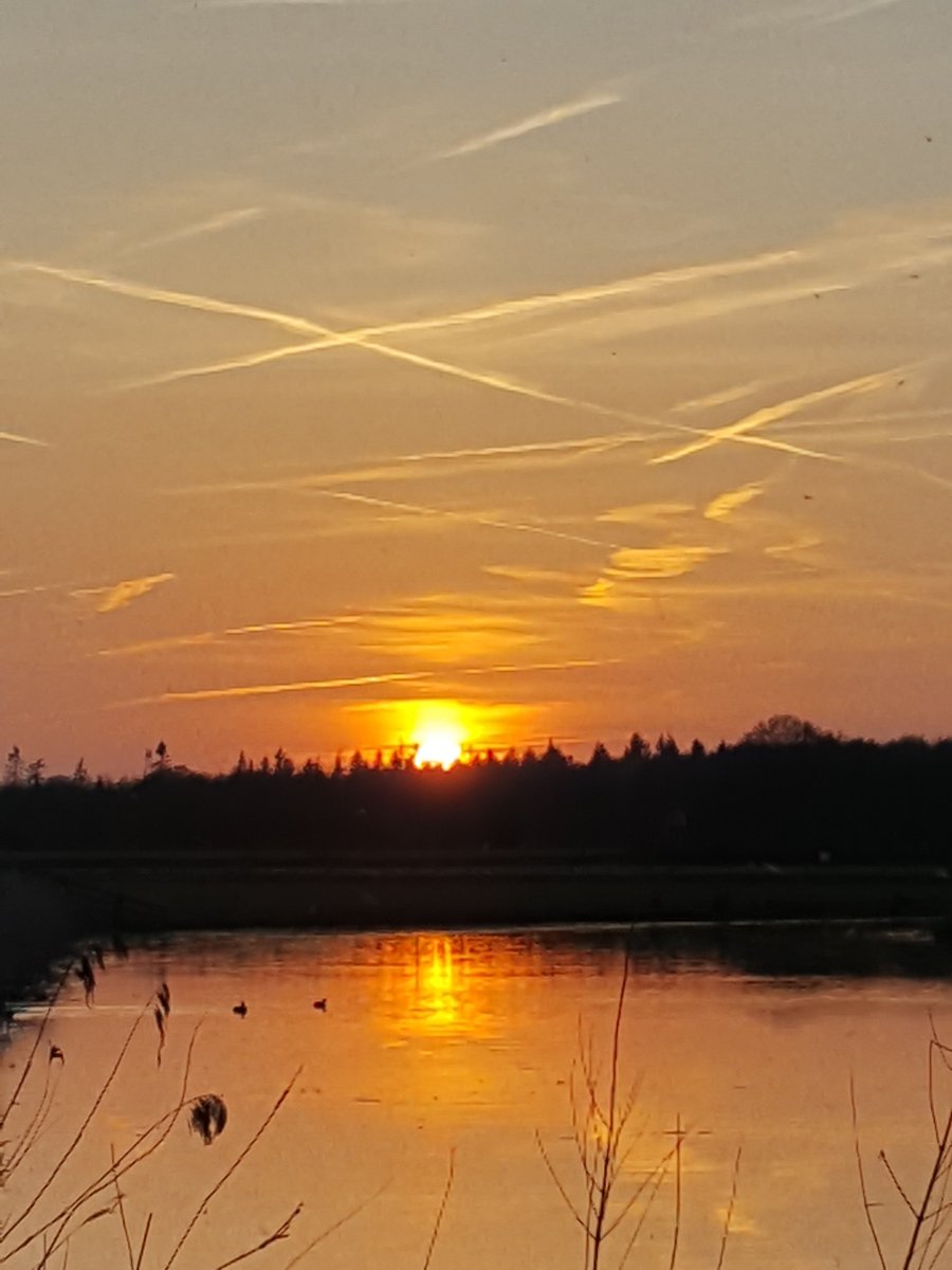 Kom vanavond meegenieten van de ondergaande zon en het kampvuur. vanaf 20 uur bij Domein Groot Besselink in Almen. bit.ly/h9Ddw8