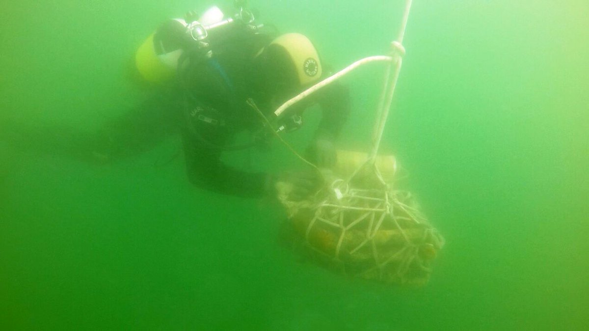 ItalianNavy's tweet photo. Palombari del COMSUBIN hanno completato la bonifica dei fondali del porto di #Brindisi. Recuperati e distrutti 213 ordigni della 2^ Guerra Mondiale #MarinaMilitare #ProfessionistidelMare https://t.co/cGnk25fPYp
